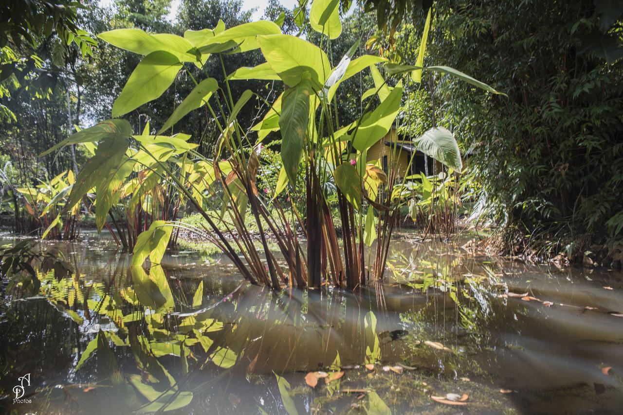 Garden Of Joy Hotel Koh Chang Bagian luar foto