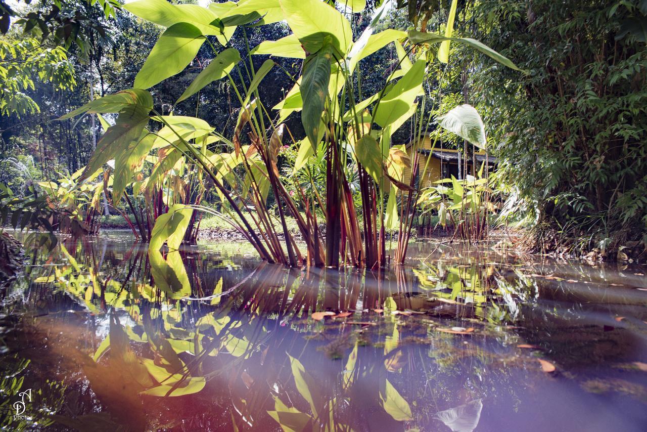 Garden Of Joy Hotel Koh Chang Bagian luar foto